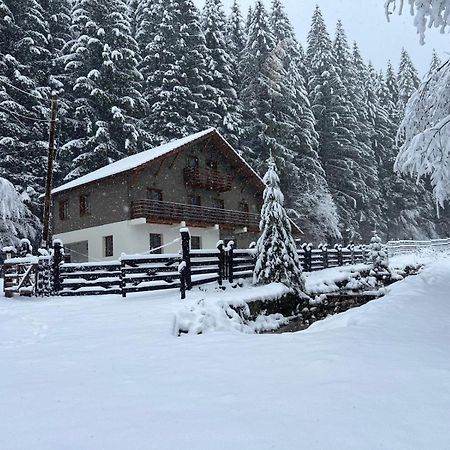 Chiba Chalet Timisu de Jos Εξωτερικό φωτογραφία
