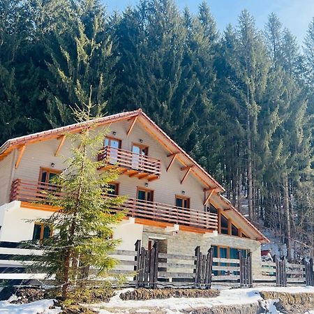 Chiba Chalet Timisu de Jos Εξωτερικό φωτογραφία