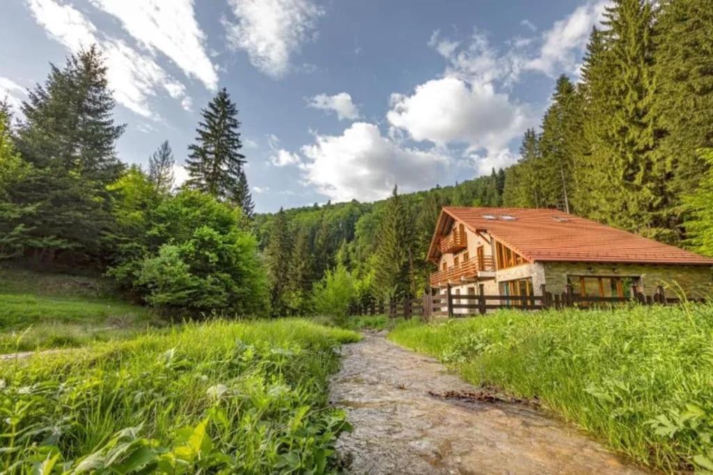 Chiba Chalet Timisu de Jos Εξωτερικό φωτογραφία