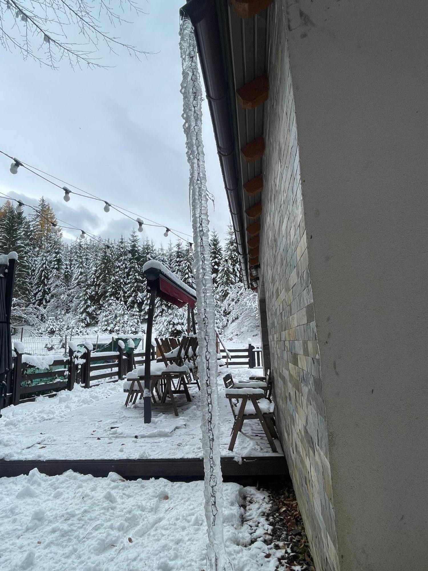 Chiba Chalet Timisu de Jos Εξωτερικό φωτογραφία