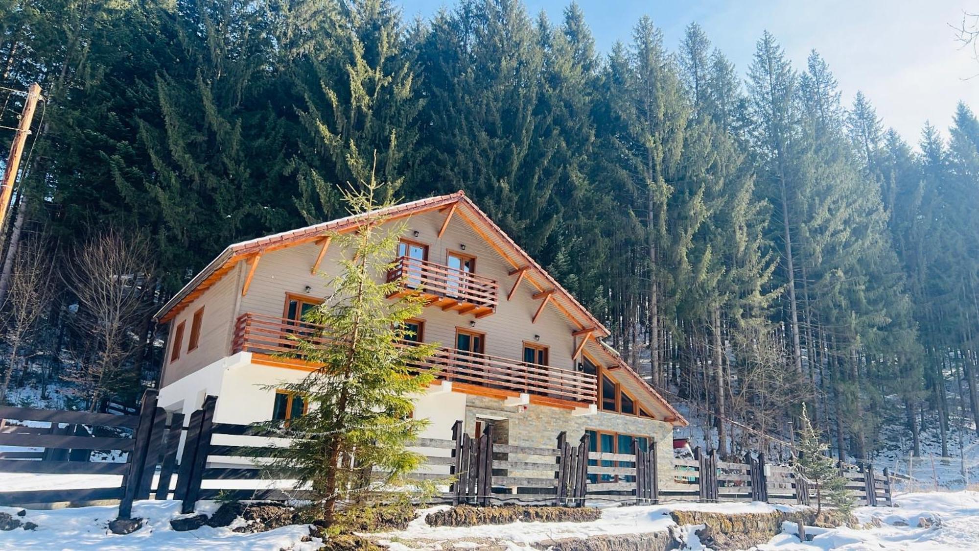 Chiba Chalet Timisu de Jos Εξωτερικό φωτογραφία