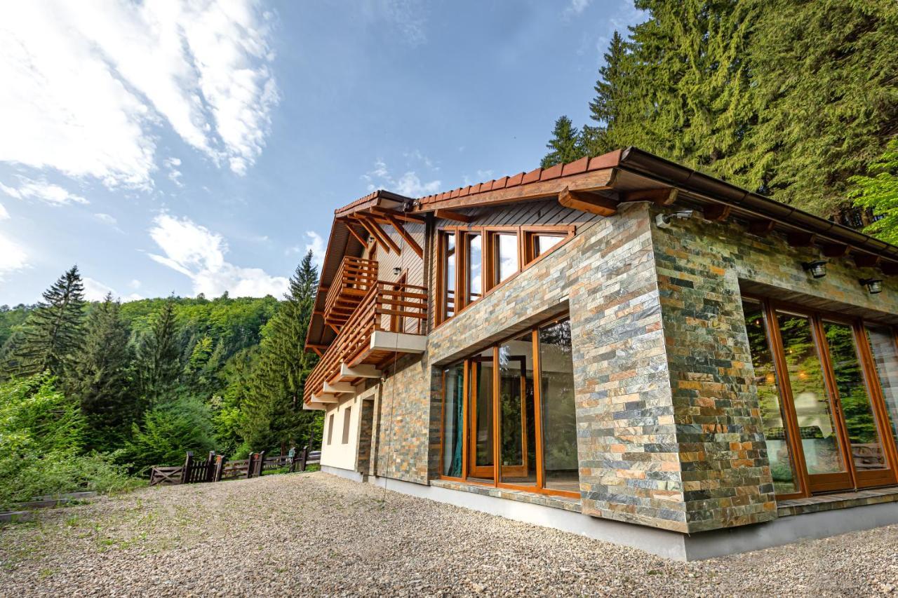 Chiba Chalet Timisu de Jos Εξωτερικό φωτογραφία