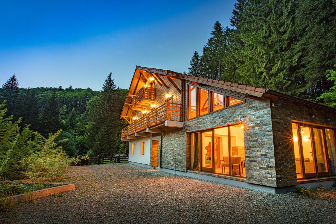 Chiba Chalet Timisu de Jos Εξωτερικό φωτογραφία