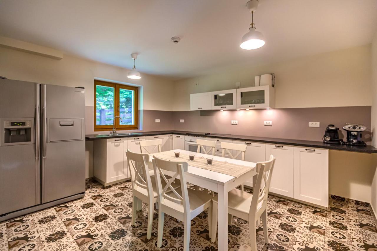 Chiba Chalet Timisu de Jos Εξωτερικό φωτογραφία