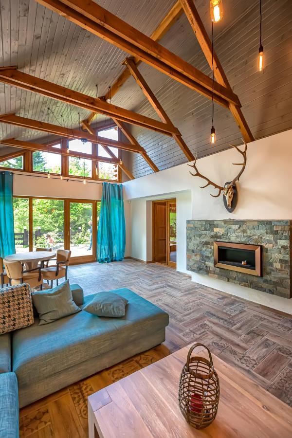Chiba Chalet Timisu de Jos Εξωτερικό φωτογραφία